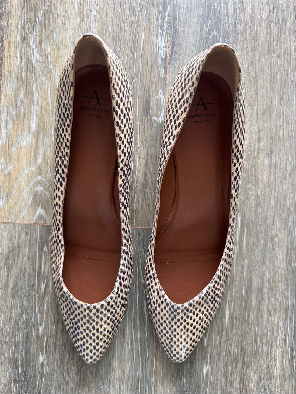 NWT Aquatalia Beige and Black Snake-Print Pointed-Toe Pumps, 12